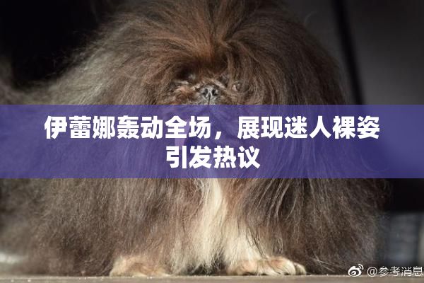伊蕾娜轰动全场，展现迷人裸姿引发热议