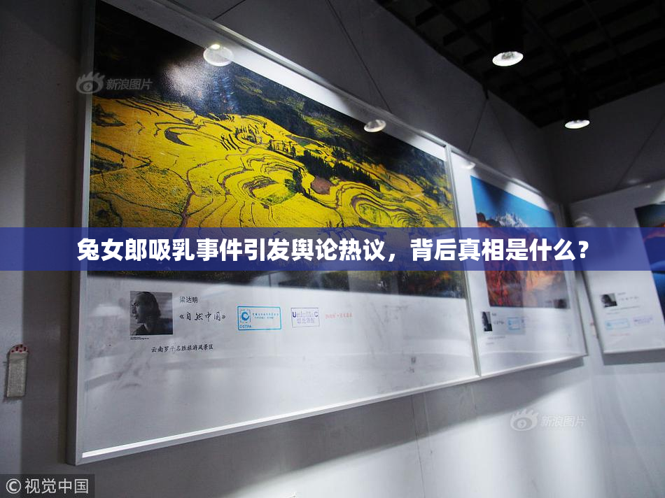 兔女郎吸乳事件引发舆论热议，背后真相是什么？