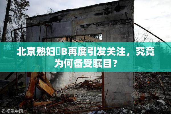 北京熟妇槡B再度引发关注，究竟为何备受瞩目？