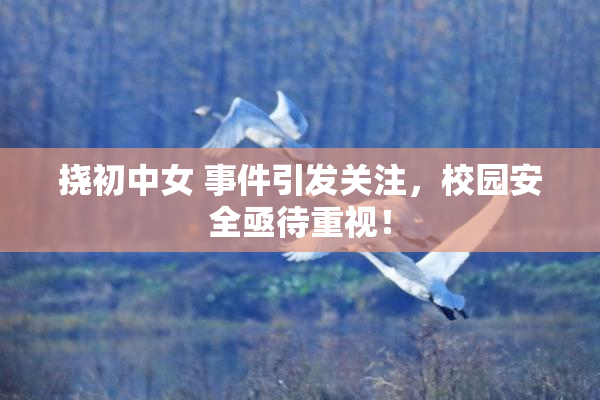 挠初中女 事件引发关注，校园安全亟待重视！