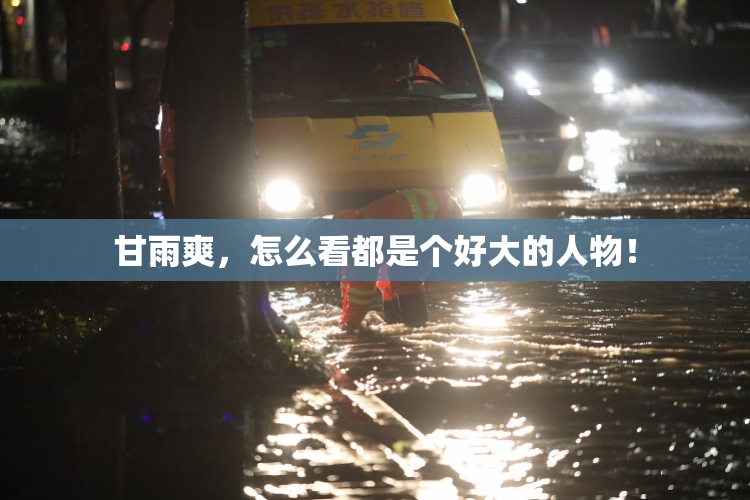 甘雨爽，怎么看都是个好大的人物！