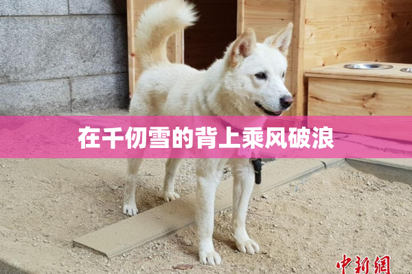 在千仞雪的背上乘风破浪