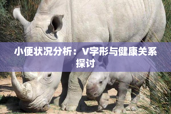 小便状况分析：V字形与健康关系探讨