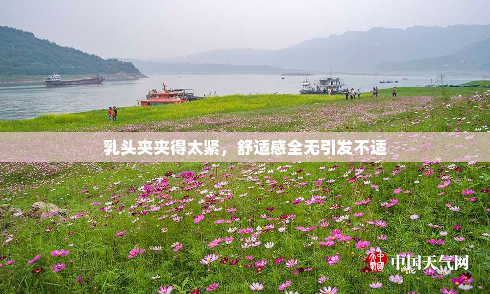 乳头夹夹得太紧，舒适感全无引发不适