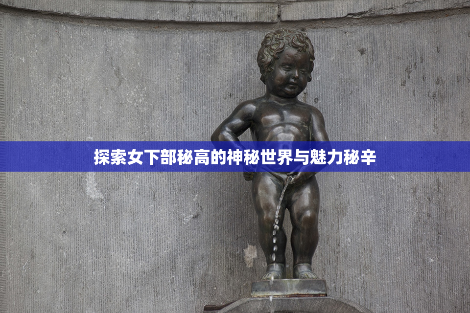 探索女下部秘高的神秘世界与魅力秘辛