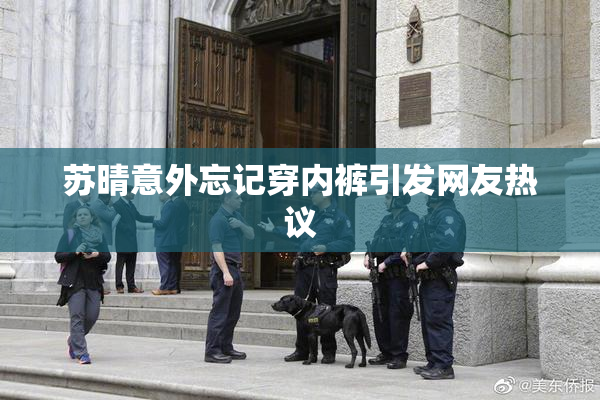 苏晴意外忘记穿内裤引发网友热议