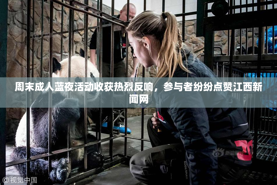 周末成人蓝夜活动收获热烈反响，参与者纷纷点赞江西新闻网