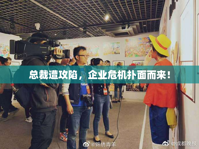 总裁遭攻陷，企业危机扑面而来！
