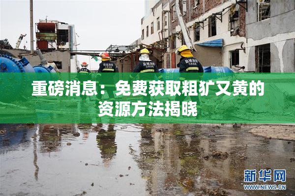 重磅消息：免费获取粗犷又黄的资源方法揭晓