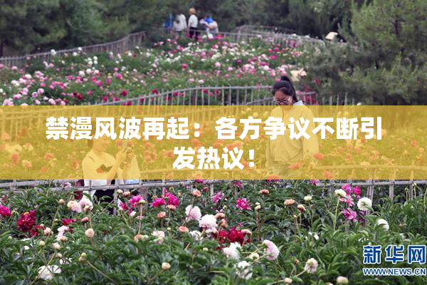 禁漫风波再起：各方争议不断引发热议！