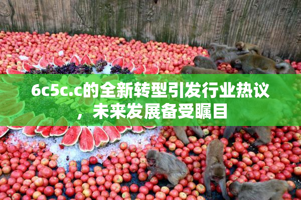 6c5c.c的全新转型引发行业热议，未来发展备受瞩目