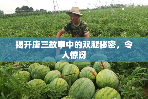 揭开唐三故事中的双腿秘密，令人惊讶