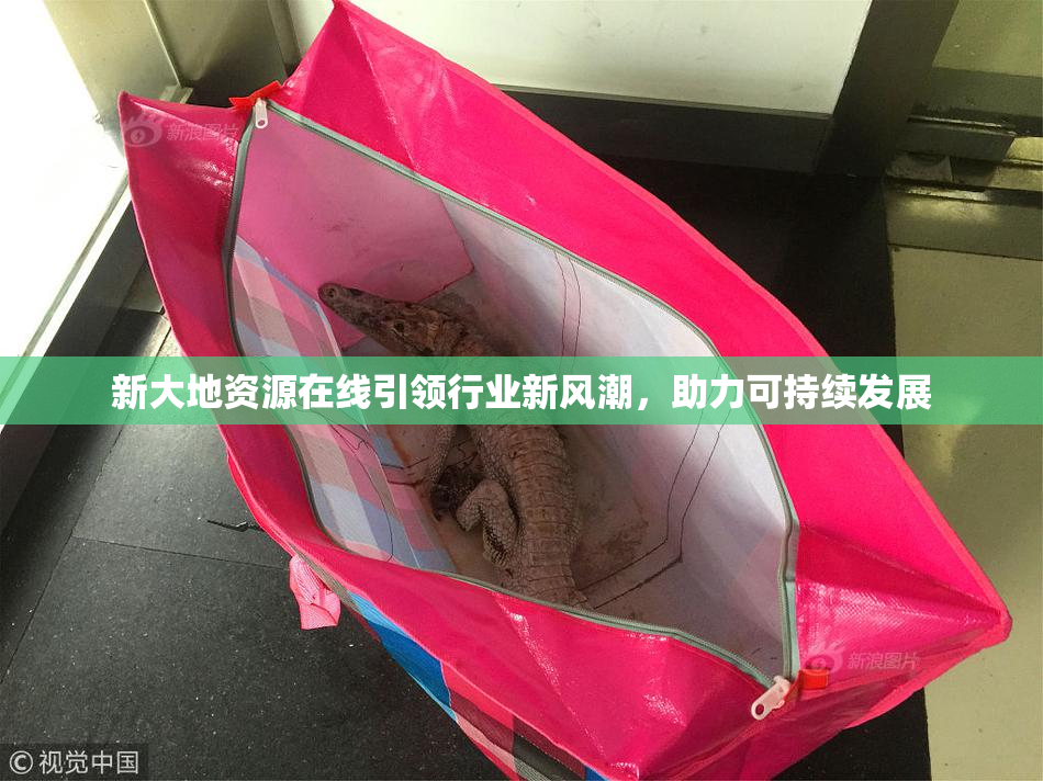 新大地资源在线引领行业新风潮，助力可持续发展