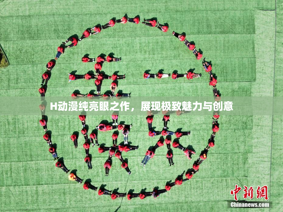 H动漫纯亮眼之作，展现极致魅力与创意