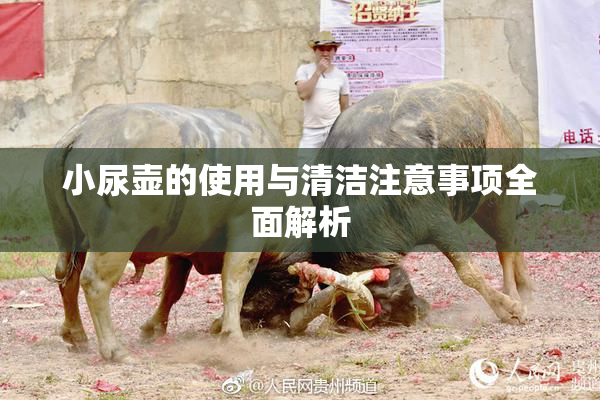 小尿壶的使用与清洁注意事项全面解析