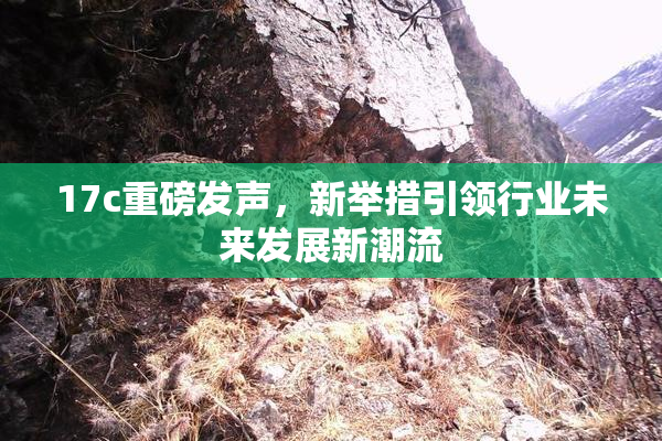 17c重磅发声，新举措引领行业未来发展新潮流
