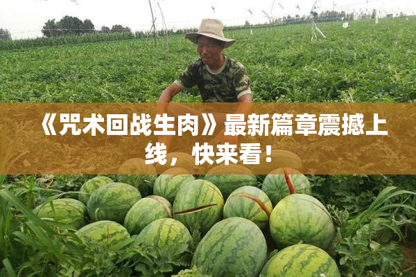 《咒术回战生肉》最新篇章震撼上线，快来看！