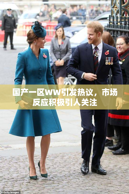 国产一区WW引发热议，市场反应积极引人关注