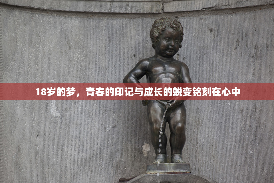 18岁的梦，青春的印记与成长的蜕变铭刻在心中