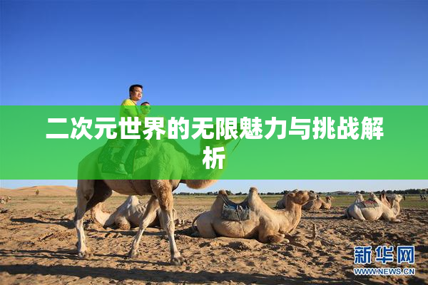 二次元世界的无限魅力与挑战解析