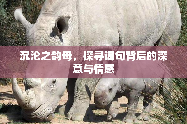 沉沦之韵母，探寻词句背后的深意与情感