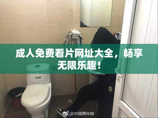 成人免费看片网址大全，畅享无限乐趣！