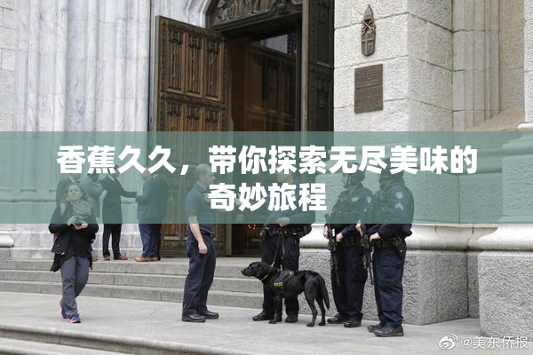 香蕉久久，带你探索无尽美味的奇妙旅程