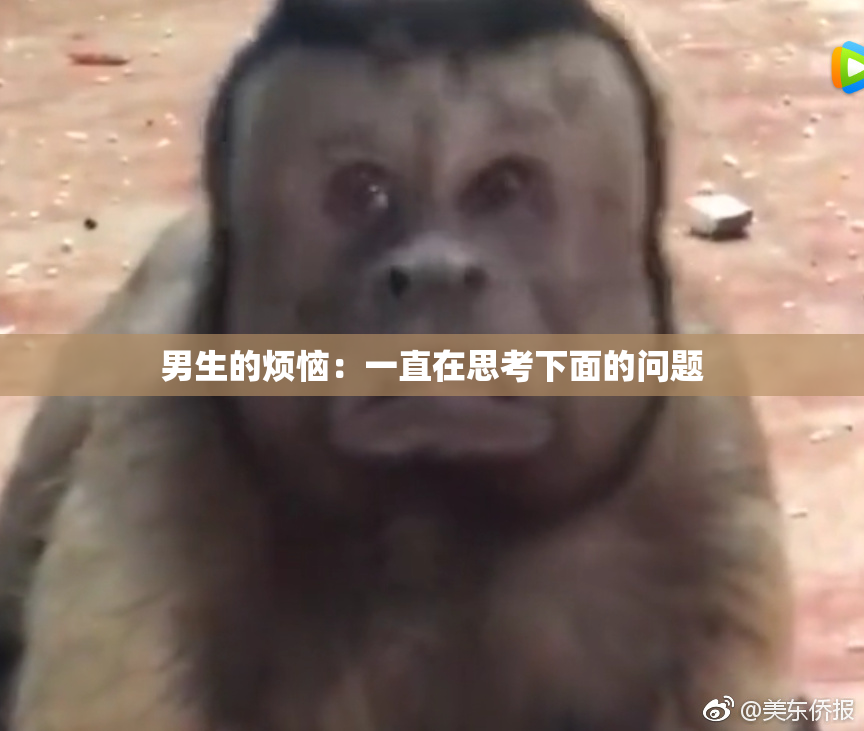 男生的烦恼：一直在思考下面的问题