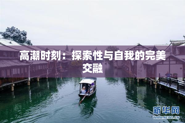 高潮时刻：探索性与自我的完美交融