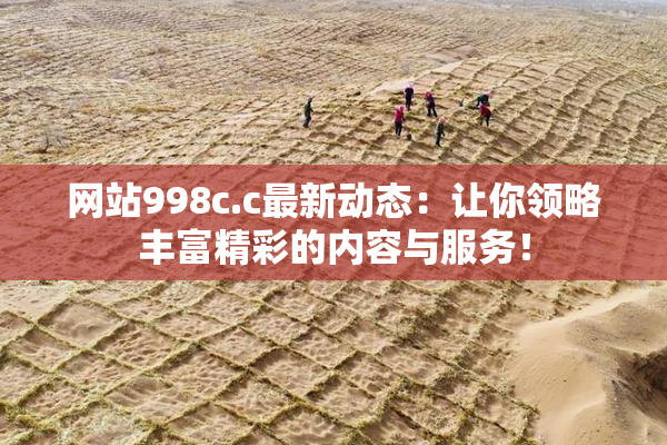 网站998c.c最新动态：让你领略丰富精彩的内容与服务！