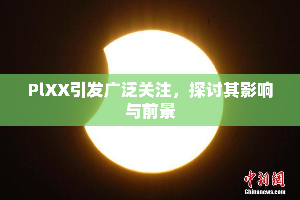 PlXX引发广泛关注，探讨其影响与前景