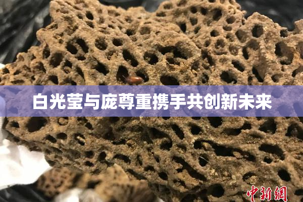 白光莹与庞尊重携手共创新未来
