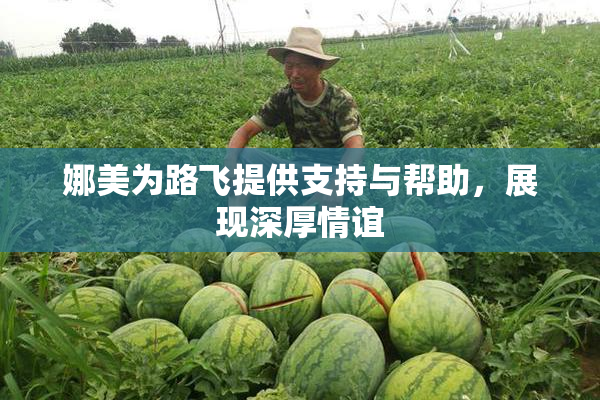 娜美为路飞提供支持与帮助，展现深厚情谊
