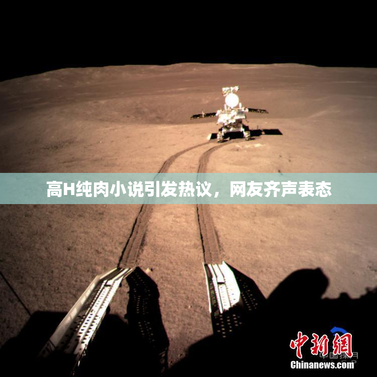 高H纯肉小说引发热议，网友齐声表态