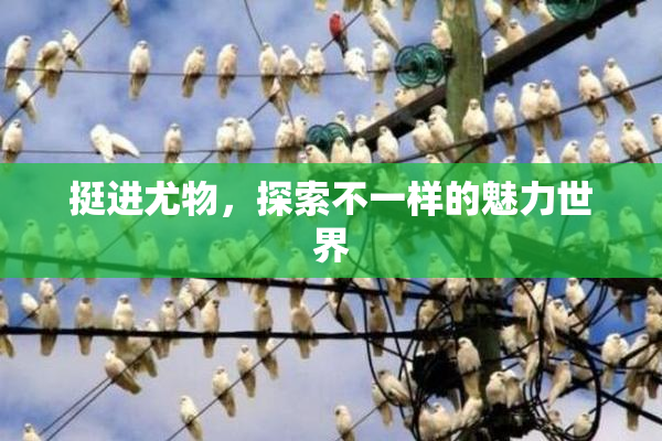 挺进尤物，探索不一样的魅力世界