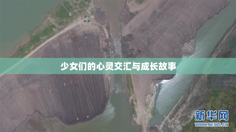 少女们的心灵交汇与成长故事