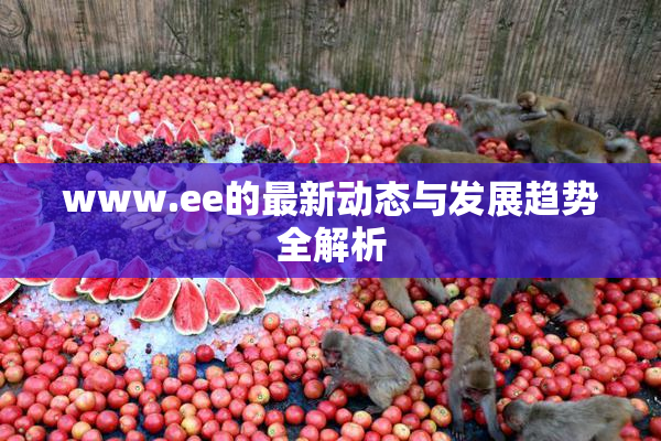 www.ee的最新动态与发展趋势全解析