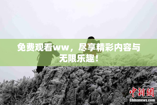 免费观看ww，尽享精彩内容与无限乐趣！