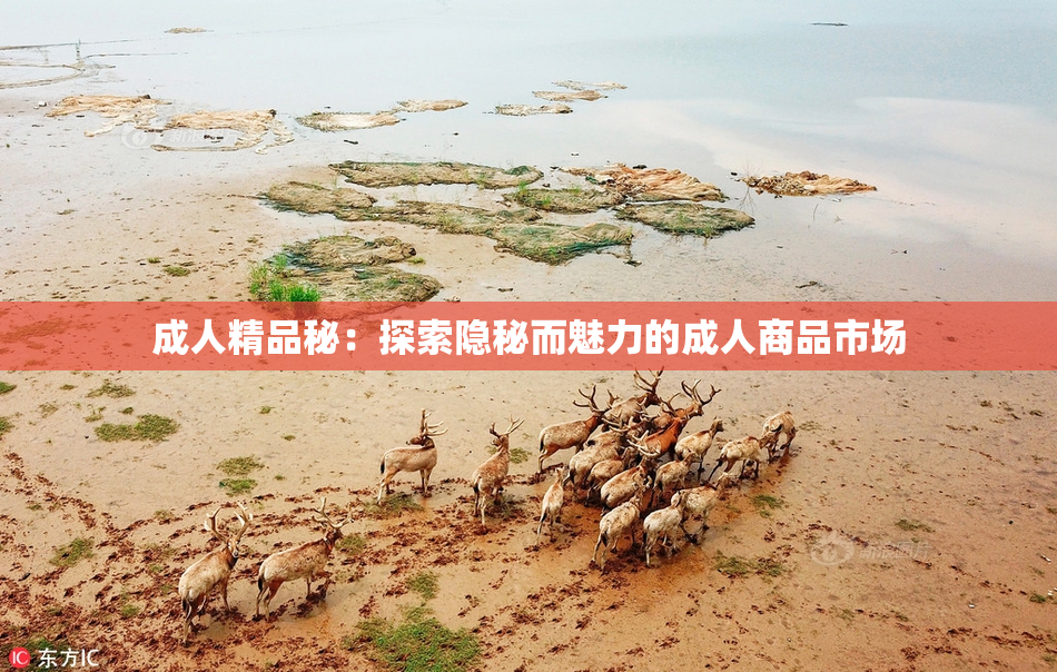 成人精品秘：探索隐秘而魅力的成人商品市场