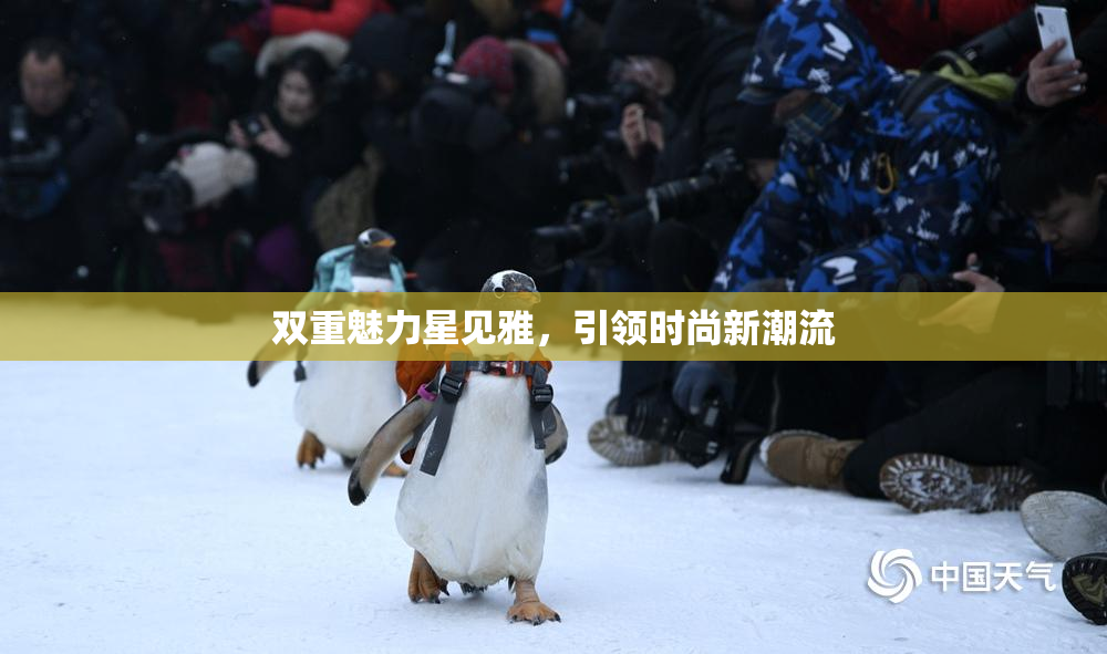 双重魅力星见雅，引领时尚新潮流