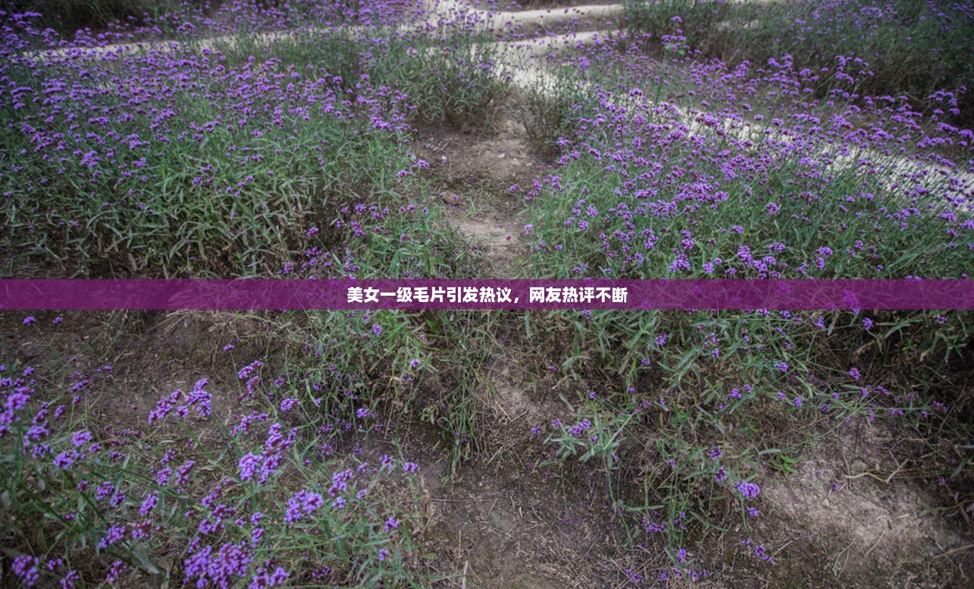 美女一级毛片引发热议，网友热评不断