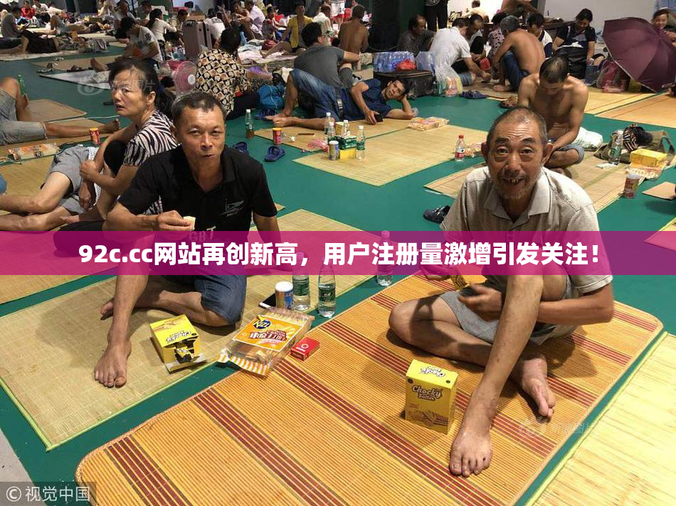 92c.cc网站再创新高，用户注册量激增引发关注！
