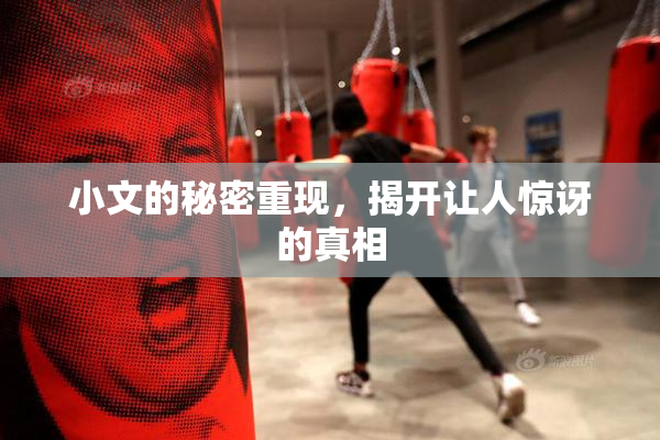 小文的秘密重现，揭开让人惊讶的真相