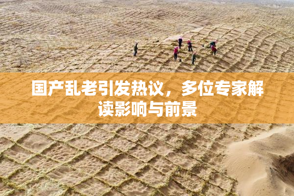 国产乱老引发热议，多位专家解读影响与前景