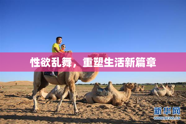 性欲乱舞，重塑生活新篇章