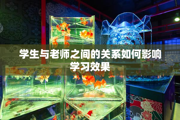 学生与老师之间的关系如何影响学习效果
