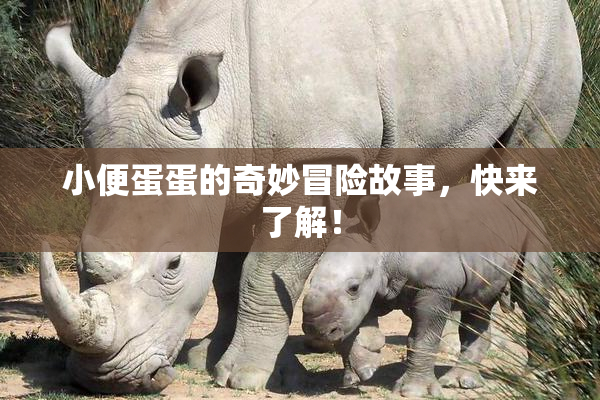 小便蛋蛋的奇妙冒险故事，快来了解！