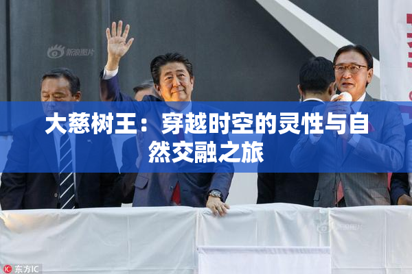 大慈树王：穿越时空的灵性与自然交融之旅