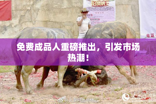 免费成品人重磅推出，引发市场热潮！