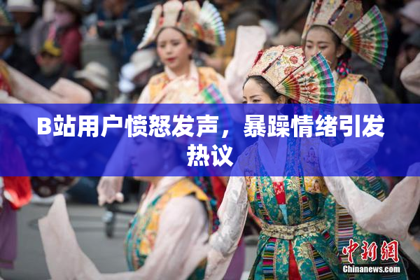 B站用户愤怒发声，暴躁情绪引发热议